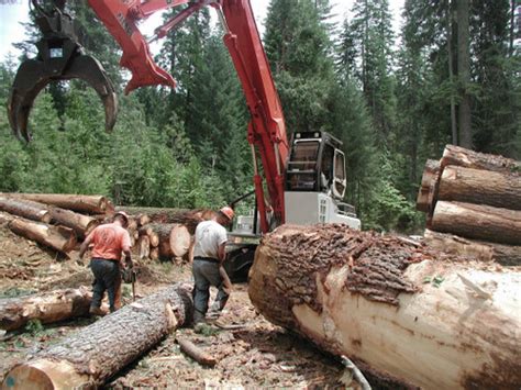 Logging Operations Soper Wheeler Company — Calisphere