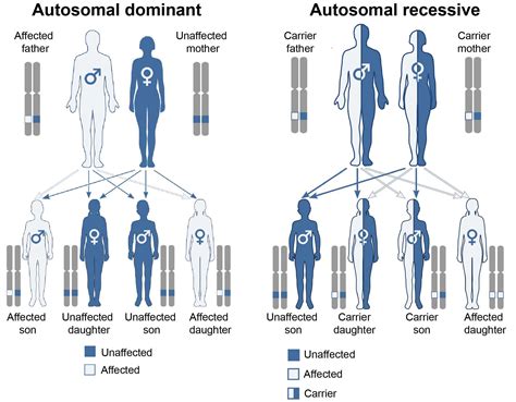 The Genetics Of Parkinsons New Mutants The Science Of Parkinsons