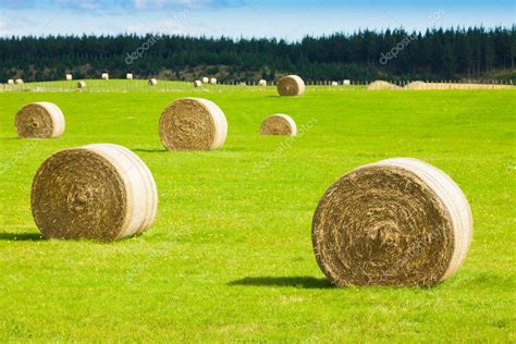 Hay Bale Rolls In A Green Field — Stock Photo © Jaykayl 11424062