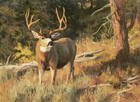 Brian Grimm Mule Deer Paintings Deer Painting Wildlife Art Hunting Art