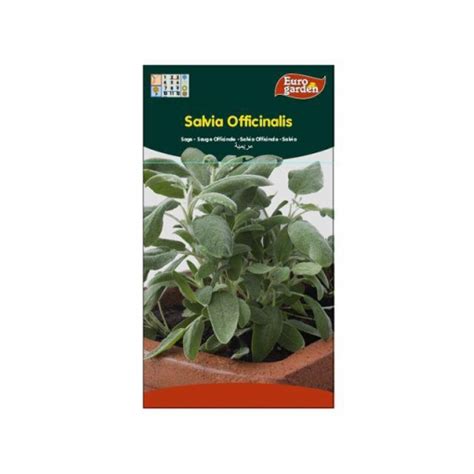 Sobre De Semillas De Salvia Officinalis Ofertas Carrefour Online