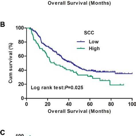 Pdf Clinical Value Of Tumor Marker Index Based On Preoperative Cyfra