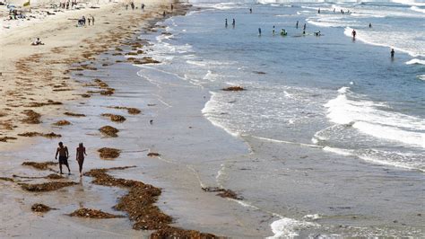 San Diego County Resumes Sunbathing Sitting At Its Beaches Ktla