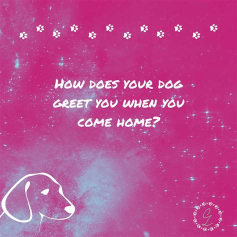 When You Come Home High Vibes Health And Wellness Greetings Dog