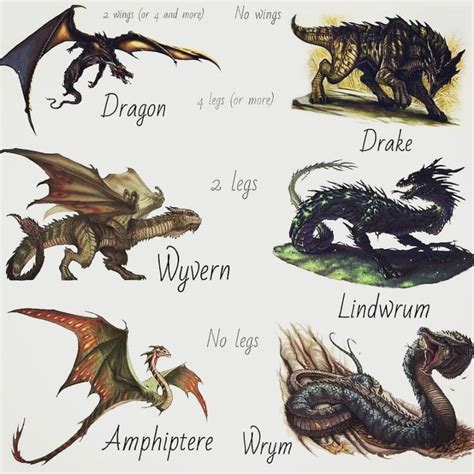 Instagram Types Of Dragons Dragon Artwork Fantasy Creatures Art