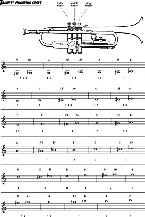Trumpet B Flat Major Scale Finger Chart