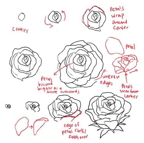 How To Draw Roses And Peonies 꽃 그리기 장미 그리는 법 드로잉 강좌