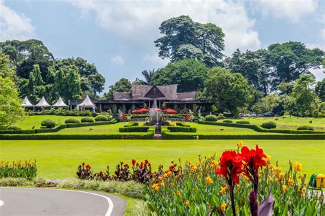 Harga tiket masuk tersebut sudah termasuk asuransi jasa raharja dan biaya retribusi pemkot dan juga masuk museum zoologi. Tanaman langka nan cantik mekar di Kebun Raya Bogor