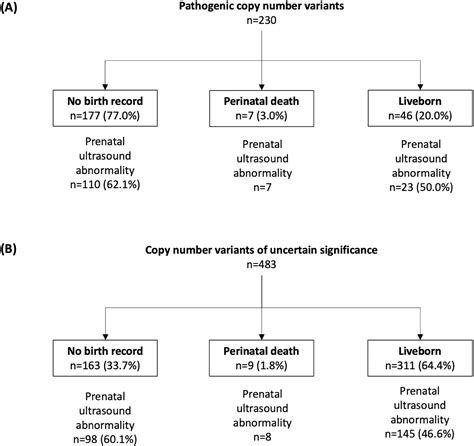 Perinatal Outcomes And Genomic Characteristics Of Fetal Copy Number
