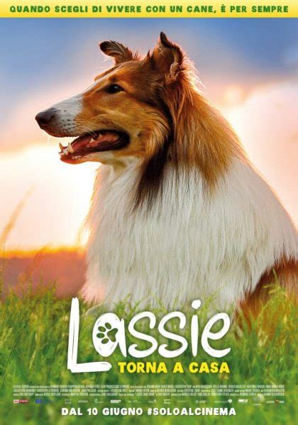 “lassie torna a casa” thinkmovies