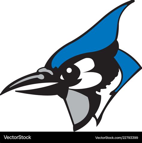 Blue Jay Head Sports Logo Mascot Royalty Free Vector Image