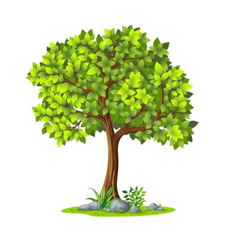 Illustration Of A Tree In Summer Stock Vector Illustration Of Comic