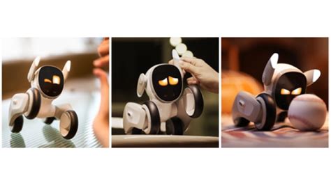 Robot Thú Cưng Thế Hệ Mới Loona Tan Chảy Cả Những Trái Tim Sắt đá