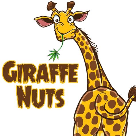 Giraffe Nuts Products Reviews And Where To Buy Cannawayz