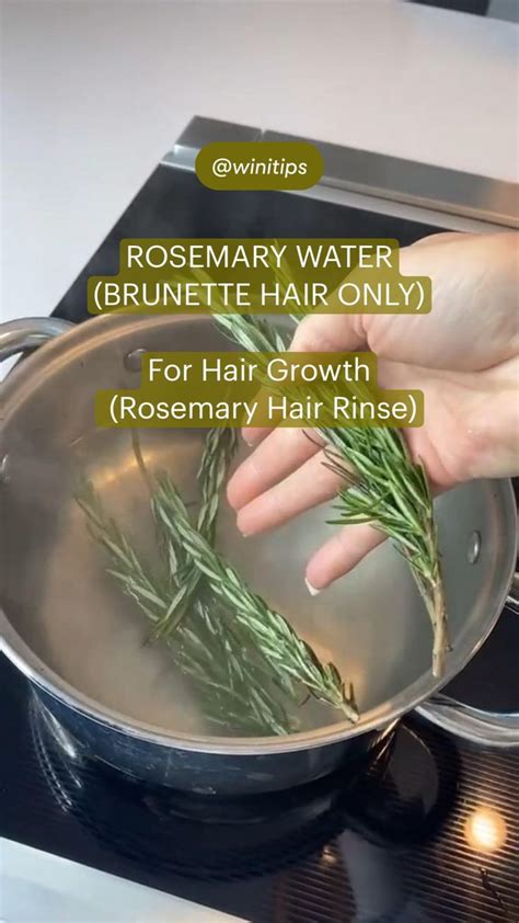 Rosemary Water For Hair Growth Rosemary Hair Rinse BRUNETTE HAIR