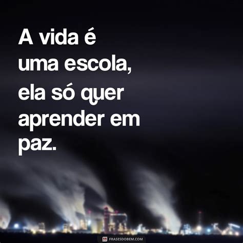 Ela Só Quer Paz Frases