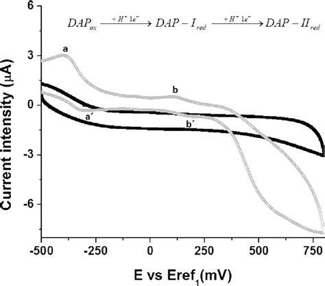 Cyclic Voltammetry Of Naked Electrode Gec E And Of Dap From Download Scientific Diagram