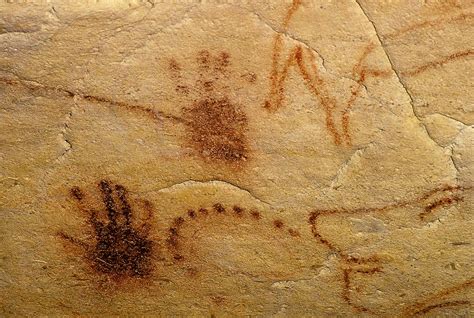 Handprints Chauvet Cave Paintings Prehistoric Cave Paintings