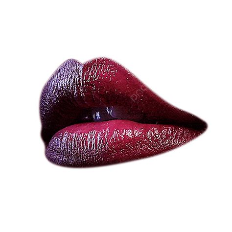 Side Lips Png Transparent Side View Of Lips Side Lip Lips Png Image