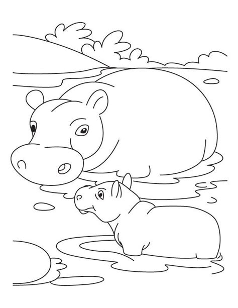 Baby Hippo With Mother Hippo Coloring Pages Art Drawings For Kids