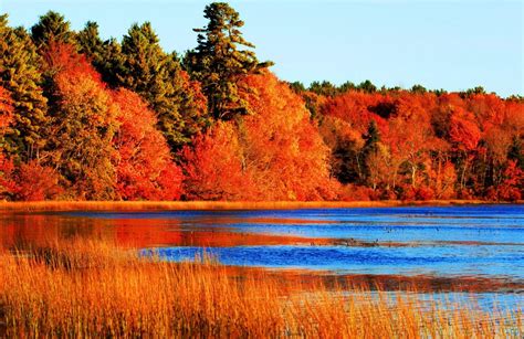Autumn Lake Water Trees Fall Leaves Colors Wallpaper 1569546 Autumn