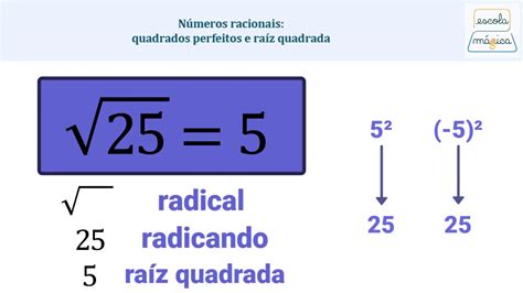 Determine A Raiz Quadrada Exata Dos Números A Seguir