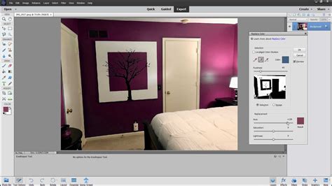 Replace Color In Photoshop Elements Instructions