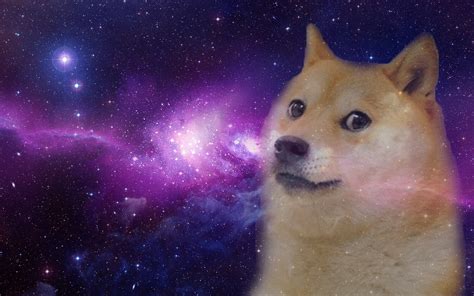Doge Wallpapers 75 Pictures