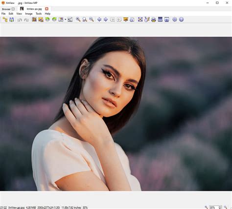 Xnview mp/classic is a free image viewer to easily open and edit your photo file. Xnview Full Download - Xnview 2 49 4 Screenshot Freeware ...