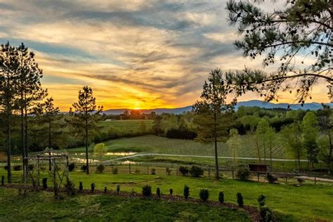 Top North Carolina Wineries To Visit In The Tryon Foothills Winetraveler