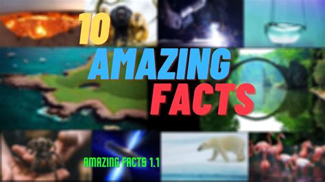 10 Amazing Facts You Never Knew Amazing Facts 11 Youtube
