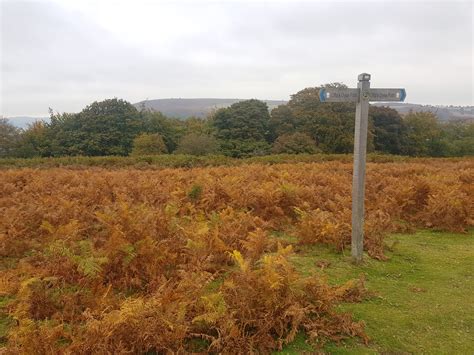 LCT 9: Wooded Limestone Uplands – Landscape Character Assessment