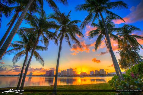Coconut Tree Sunset West Palm Beach Hdr Photography By Captain Kimo
