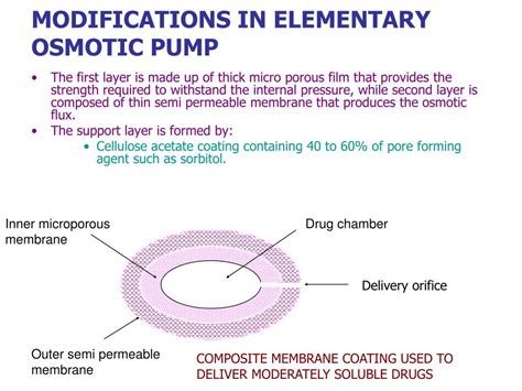 Ppt Osmotic Drug Delivery System Powerpoint Presentation Free