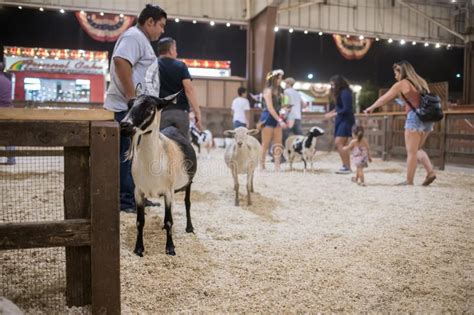 Petting Zoo Area Of The La County Zoo Editorial Photo Image Of