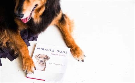The Ultimate List Of Coffee Table Books For Dog Lovers Everywhere Dog