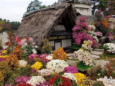Beautiful Corners Of The Country 40 Amazing Flowers Pots And Beds