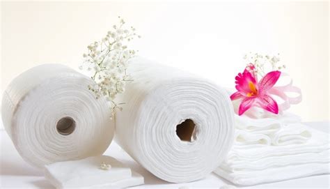Economy On A Roll As Flush Consumers Spend On Luxury Toilet Paper