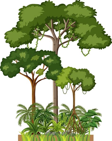 Rainforest Trees Background Clipart