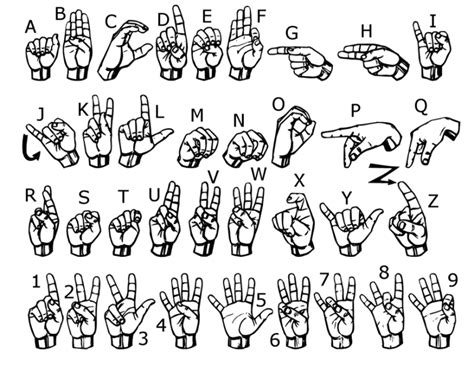 These categories contain various short videos depicting various signs by people. The Great Artdoors: Sign Language Self Portraits