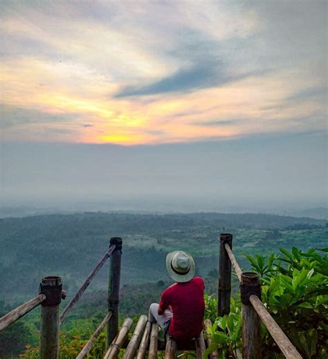 Tempat wisata di kuningan selanjutnya adalah hutan desa setianegara. Hutan Desa Setianegara - Bukit Lambosir Keindahan Di Kaki ...