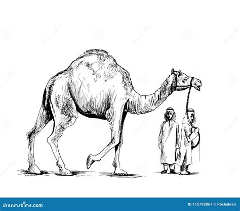 Arab Man Standing With A Camel Hand Drawn Sketch Vector Illustration Stock Vector