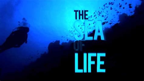 The Sea Of Life Trailer Youtube