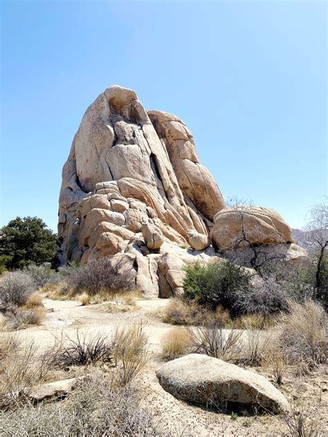 The Perfect Day Trip To Joshua Tree National Park Everything You Need