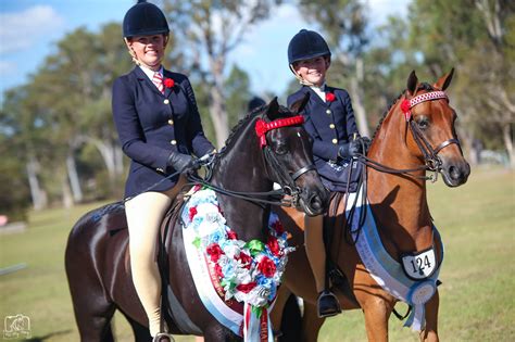 Prydes Easifeed Horse Of The Year Equestrian Queensland