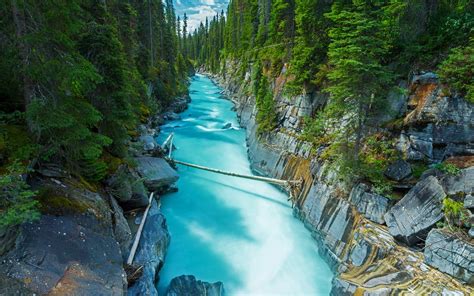 Nature Landscape Canada Forest River Rock Water Green Trees