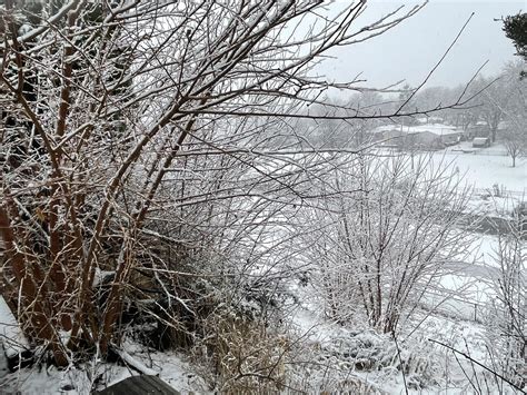 The SNOW IS FALLING!... - Rolling Meadows Park District