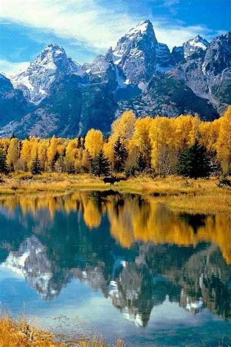 Some Highlights Of The Grand Teton National Park Wyoming Usa Grand