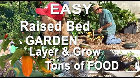 Your raised bed garden questions answered. DIY Raised Bed-How to Build Set-Up Grow Vegetable FOOD Garden in Totes-Layer Pot Plants Small ...