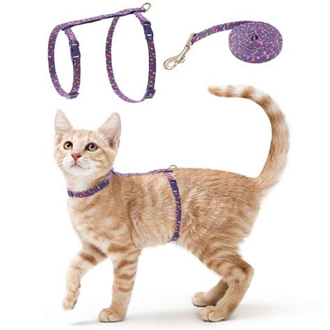 Semoga referensi di atas bisa membantu anda menentukan pilihan warna yang dihadirkan dalam rumah anda. Cat Harness Collar dengan Leash Set - Desain Fashion ...